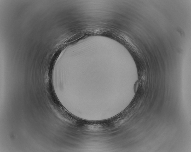 X0000111380500200908071238