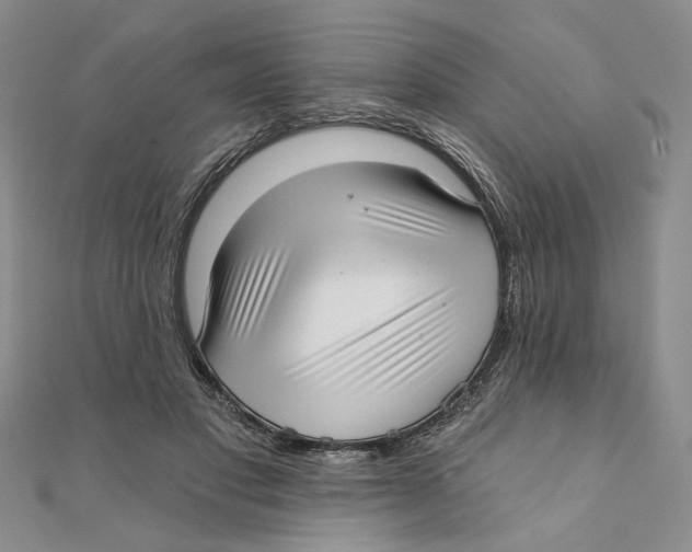 X0000111380501200908071238