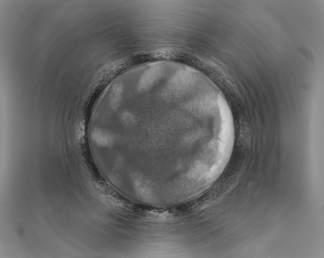 X0000111380502200908071237