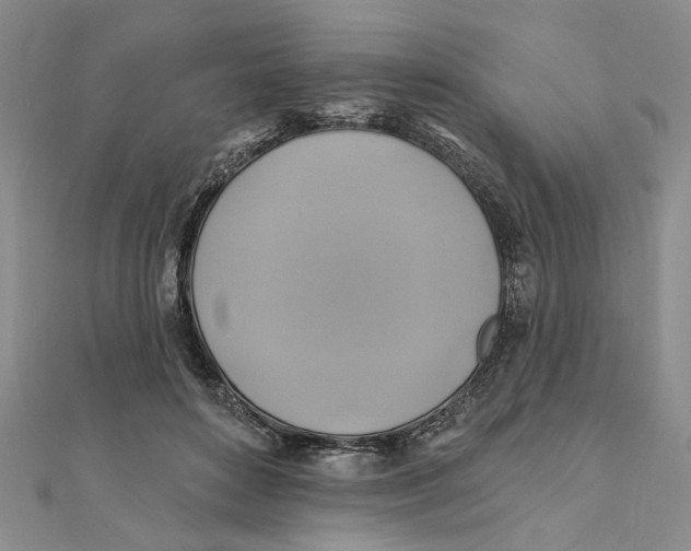 X0000111380504200908071237