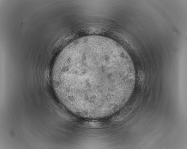 X0000111380506200908071237