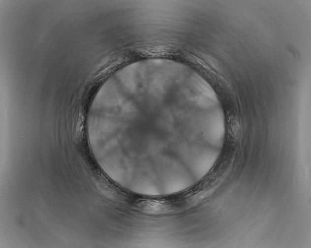 X0000111380507200908071237