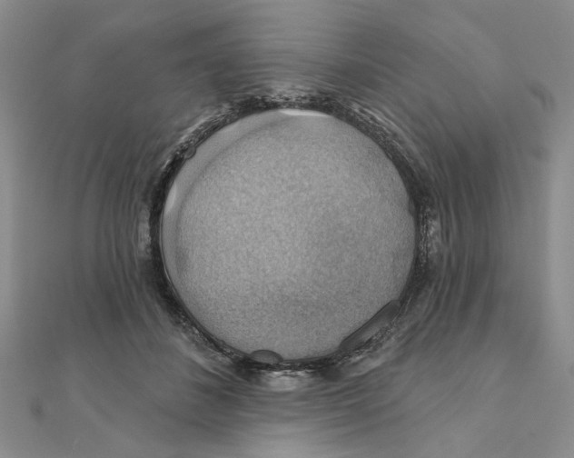 X0000111380508200908071237