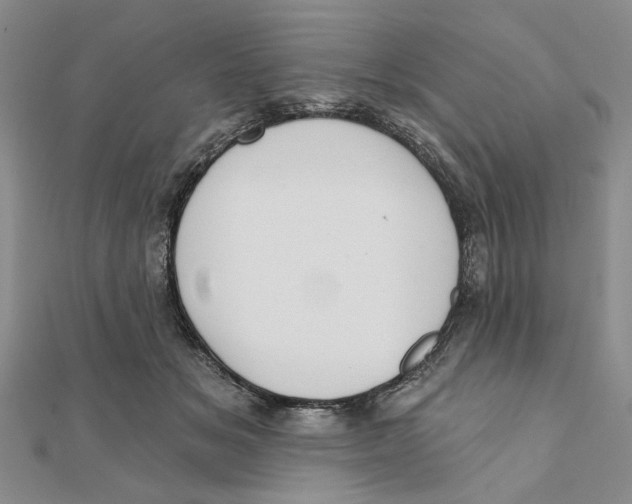 X0000111380509200908071237