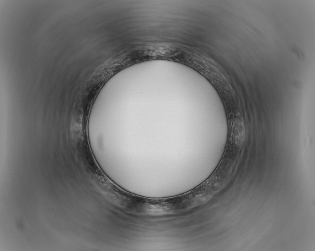 X0000111380510200908071237