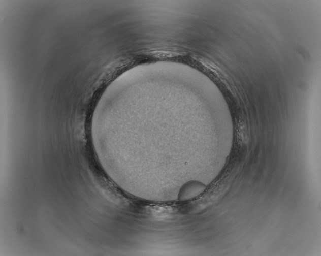 X0000111380512200908071237