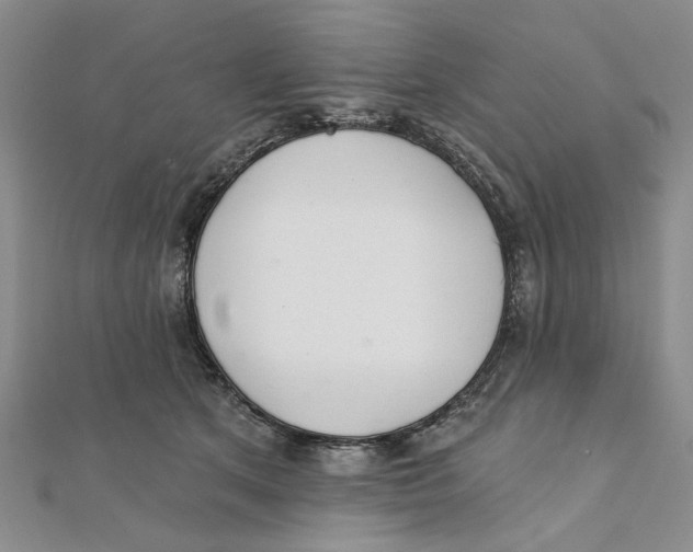 X0000111380513200908071237