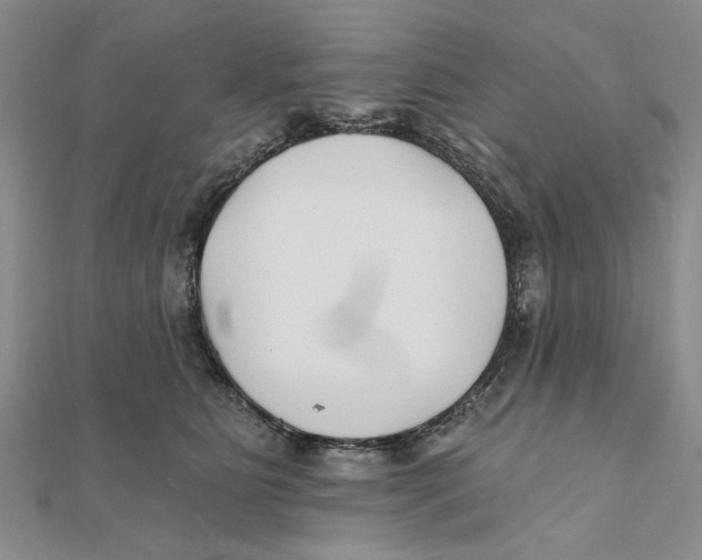 X0000111380515200908071237