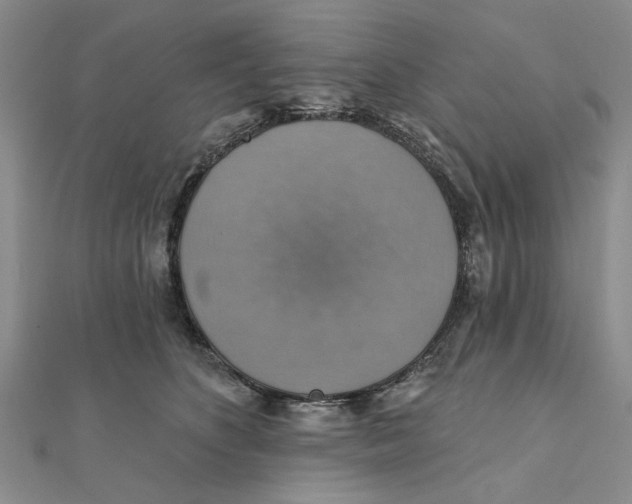 X0000111380516200908071237