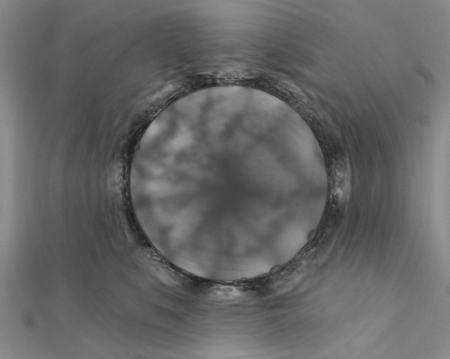 X0000111380519200908071237