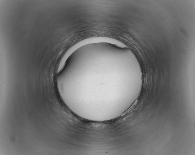 X0000111380520200908071237