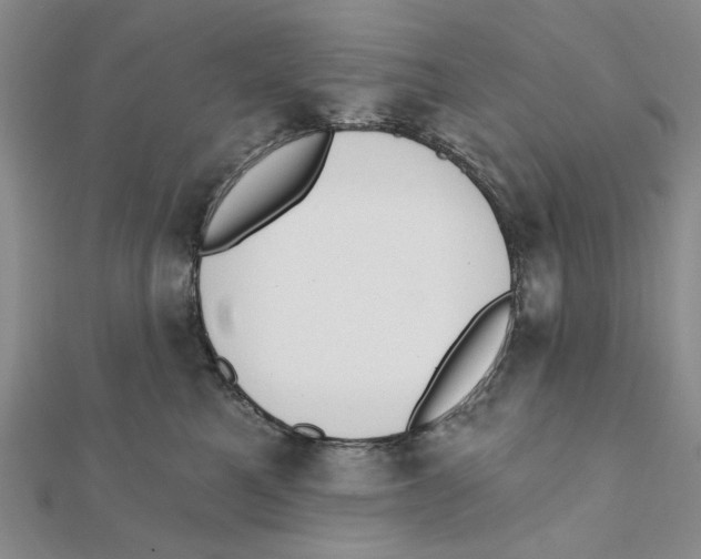 X0000111380521200908071237