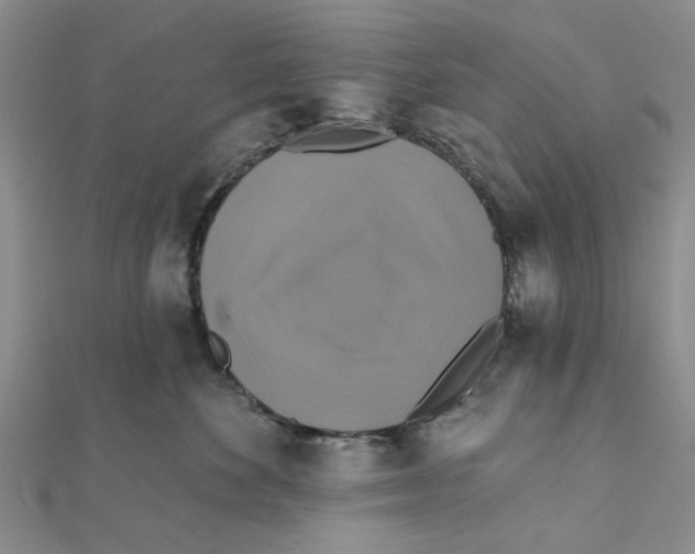 X0000111380524200908071237