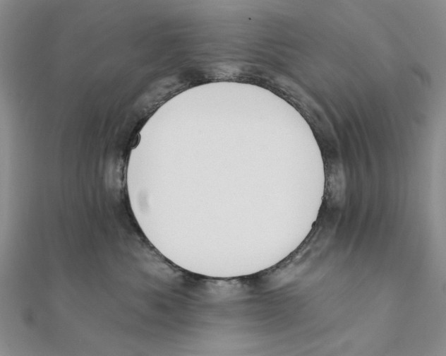 X0000111380525200908071237