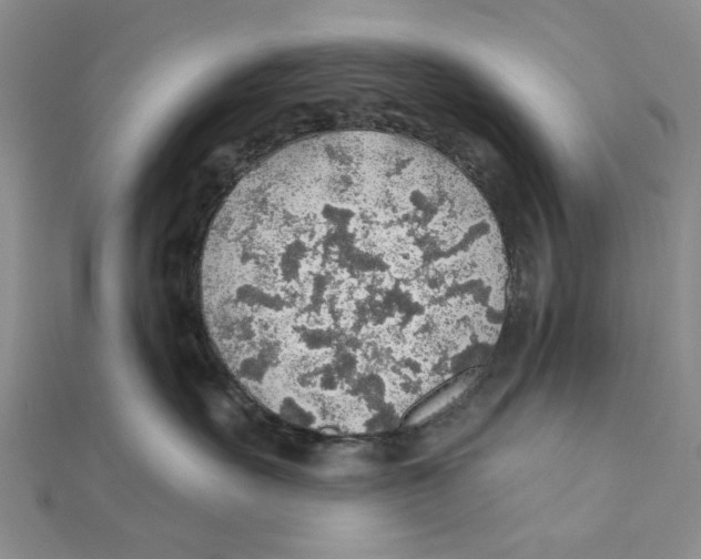 X0000111380527200908071237