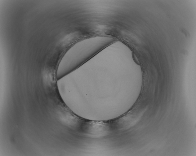 X0000111380528200908071237