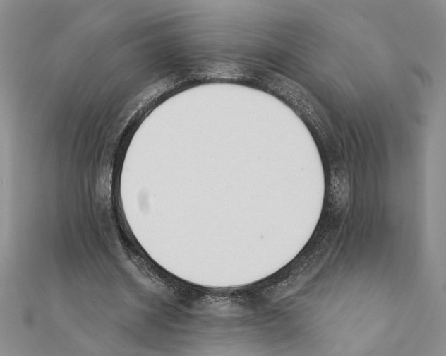 X0000111380534200908071237