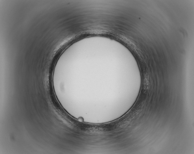 X0000111380535200908071237