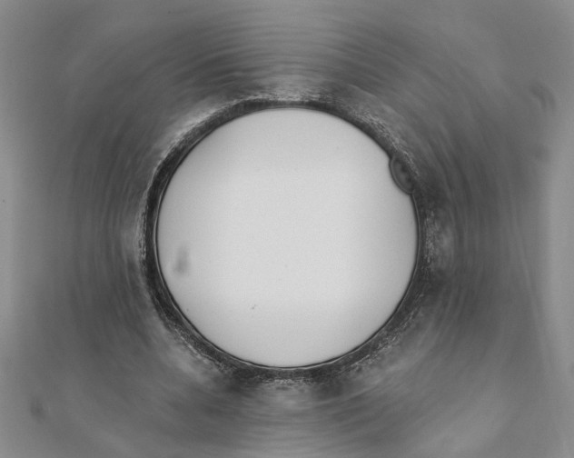 X0000111380536200908071237