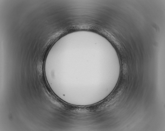 X0000111380537200908071237