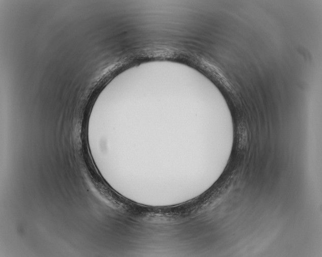 X0000111380538200908071237