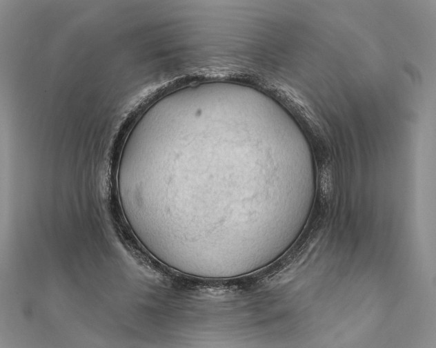 X0000111380540200908071237