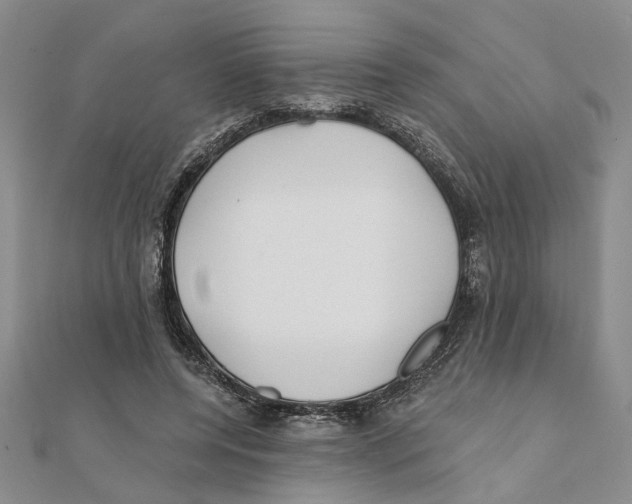 X0000111380544200908071237