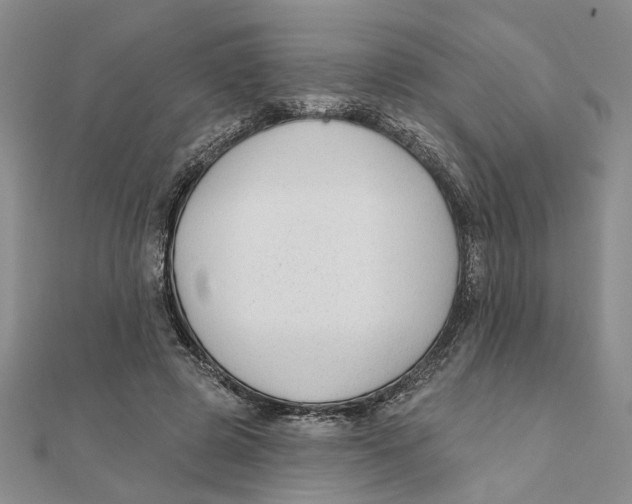 X0000111380545200908071237