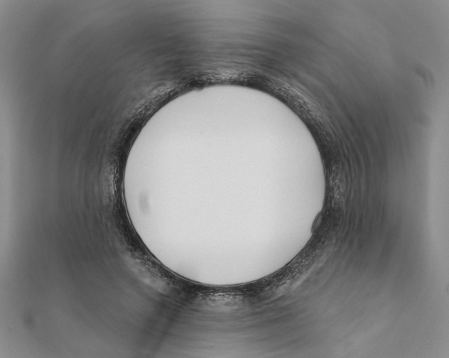 X0000111380546200908071237