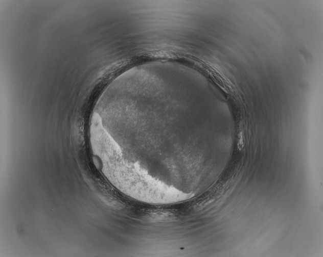 X0000111380547200908071237