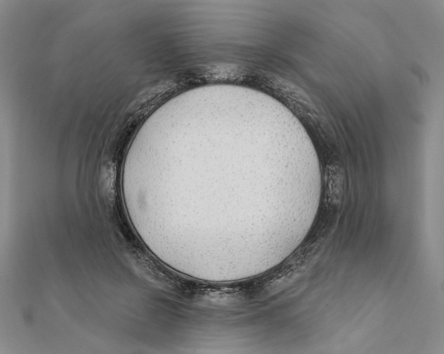 X0000111380550200908071237