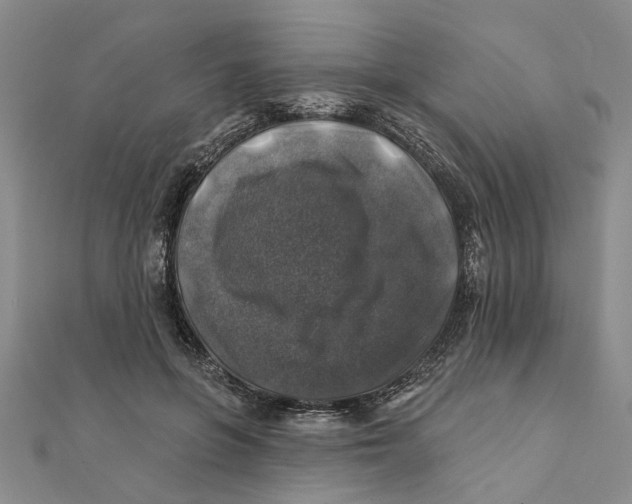 X0000111380551200908071237