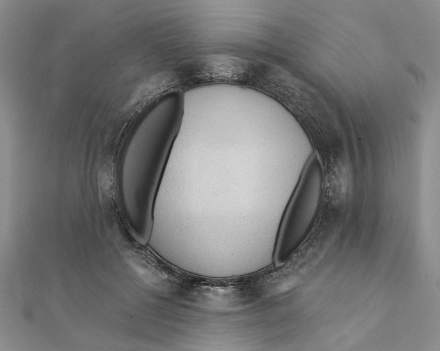 X0000111380552200908071237