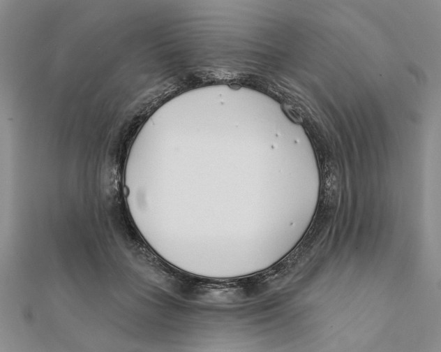 X0000111380555200908071237