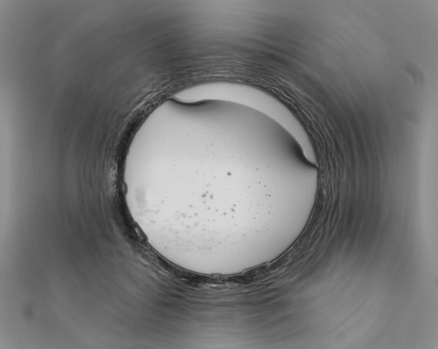 X0000111380556200908071237