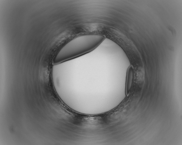 X0000111380558200908071237