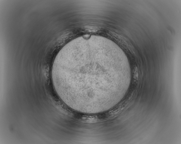 X0000111380559200908071237