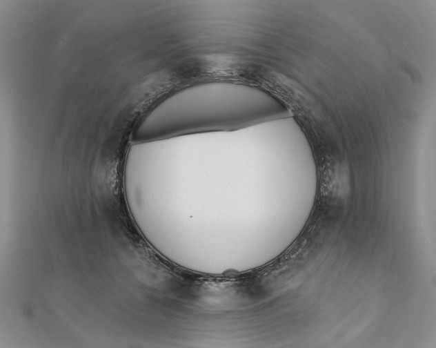 X0000111380560200908071237