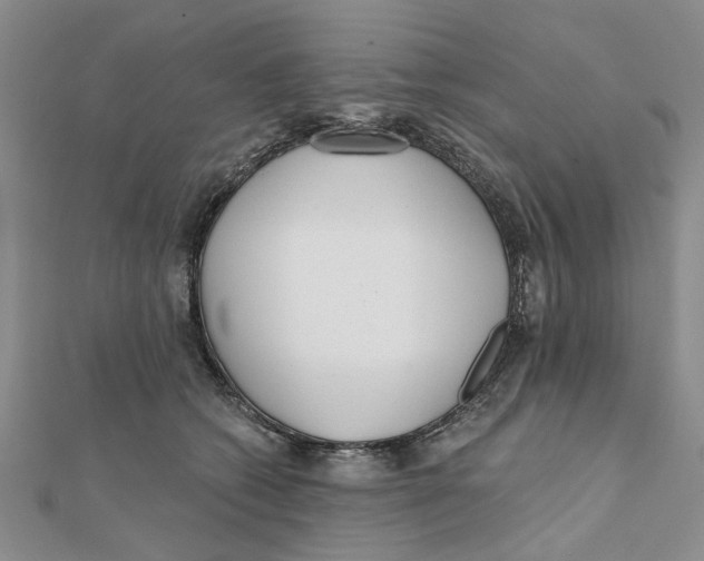 X0000111380562200908071237