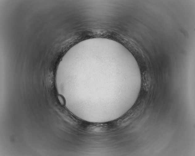 X0000111380563200908071237