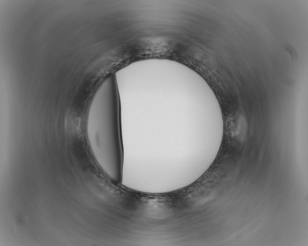 X0000111380564200908071237