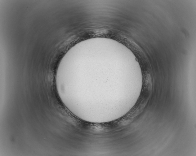 X0000111380565200908071237