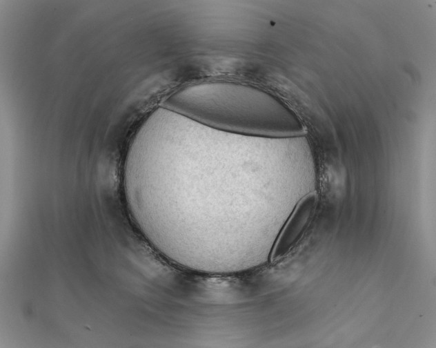 X0000111380566200908071237