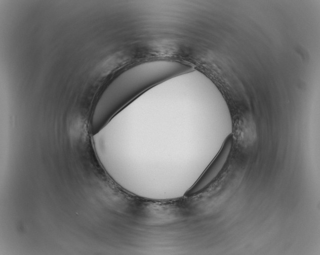 X0000111380568200908071237