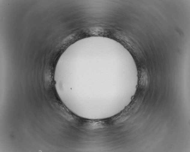 X0000111380569200908071237