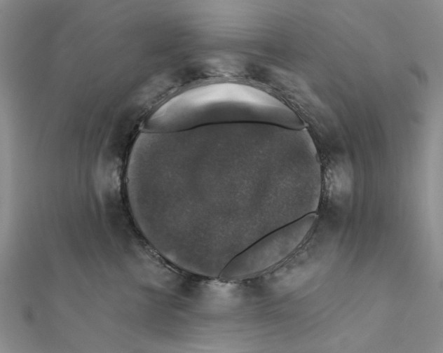 X0000111380570200908071237