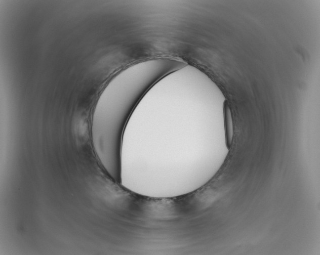 X0000111380576200908071237