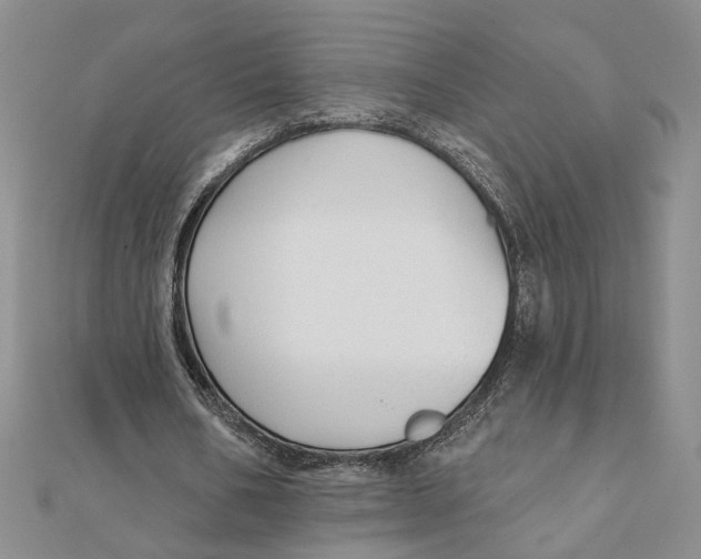 X0000111380578200908071237