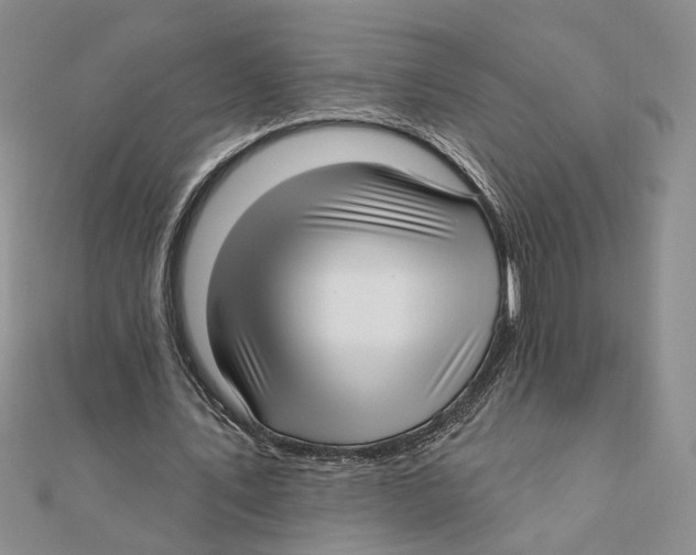 X0000111380579200908071237