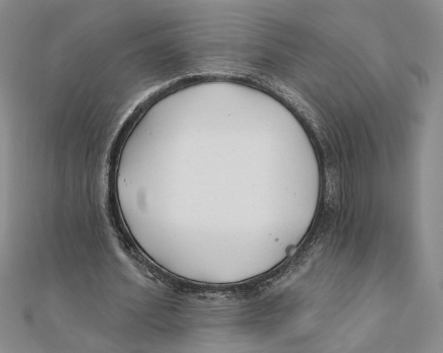 X0000111380580200908071236